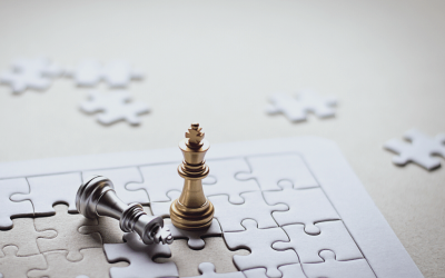 Systemisches Denken: Puzzle und Schach