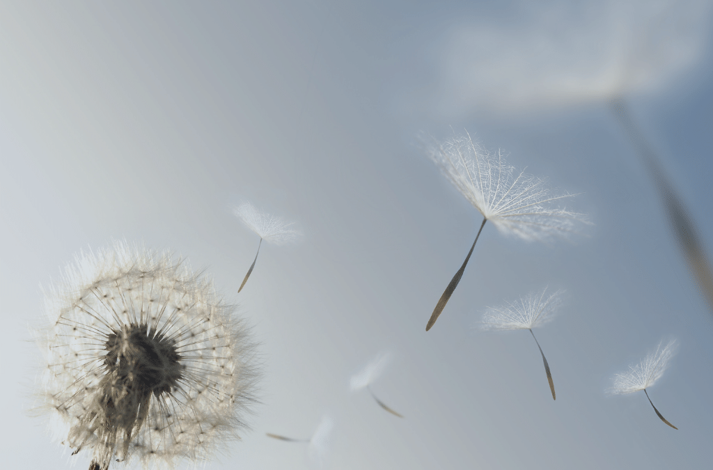 Organisationsentwicklung: Aspekte von Veränderungen