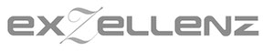 Exzellenzinitiative