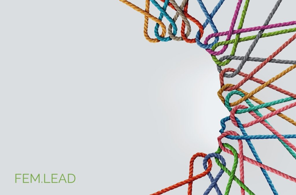 Female Leadership: Frauen netzwerken anders.