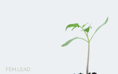 Female Leadership: Mentoring vs. Sponsoring