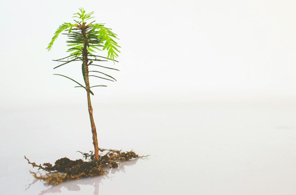 Ute Mariacher Führungsstärke 20 Prozent zählen