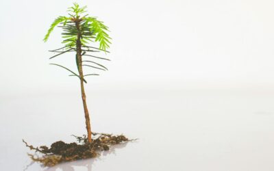 Führungsstärke & 20 Prozent, die zählen.